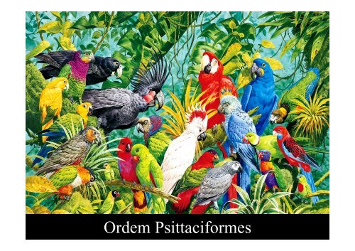 Ordem Psittaciformes