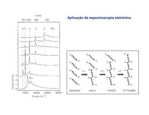 Espectros eletrônicos de moléculas - IFSC