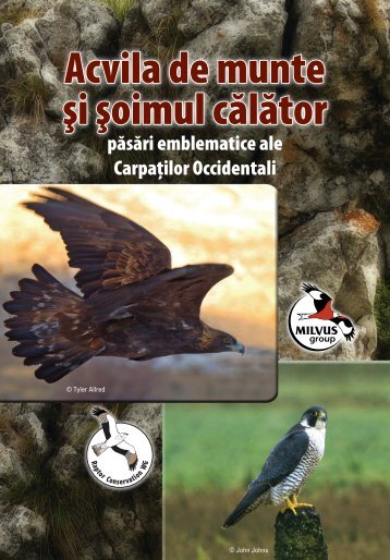 Acvila de munte şi şoimul călător