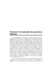 Práctica 8: El analizador de protocolos Ethereal - Redes de ...