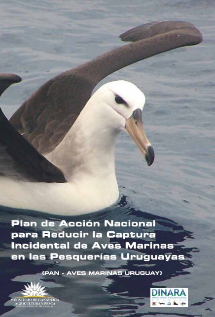 PAN - Aves Marinas - Dirección Nacional de Recursos Acuáticos