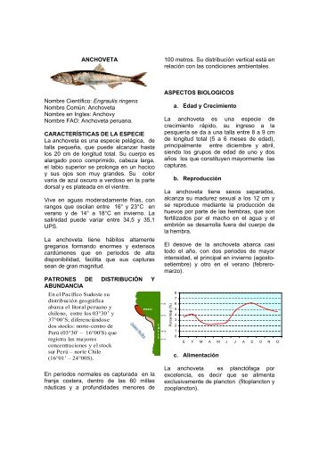 ANCHOVETA Nombre Científico: Engraulis ringens ... - Imarpe