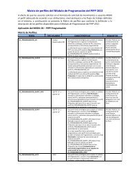 Matriz de perfiles del Módulo de Programación del PIPP 2012