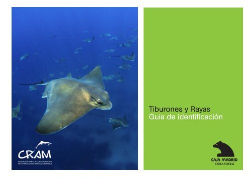 Tiburones y rayas. Guía de identificación - CRAM