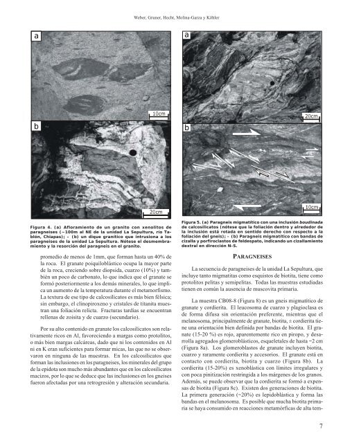 El descubrimiento de basamento metasedimentario en el macizo