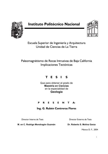 Capitulo I Tesis En El Ipn Instituto Politecnico Nacional