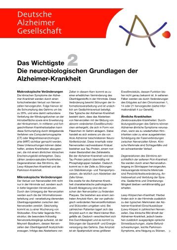 Das Wichtigste Die neurobiologischen Grundlagen der