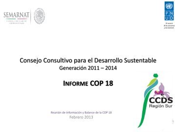 Informe COP18