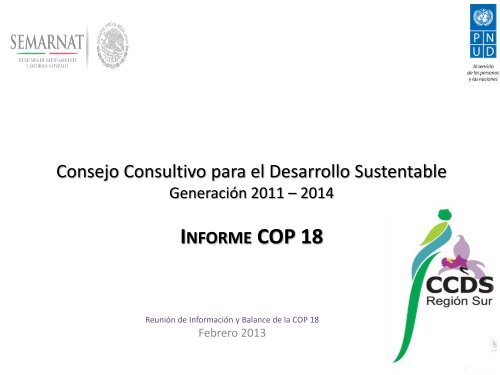 Informe COP18