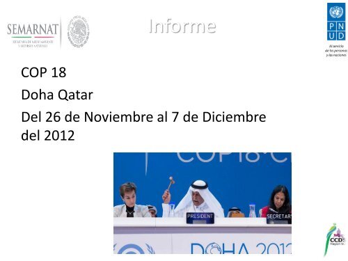 Informe COP18