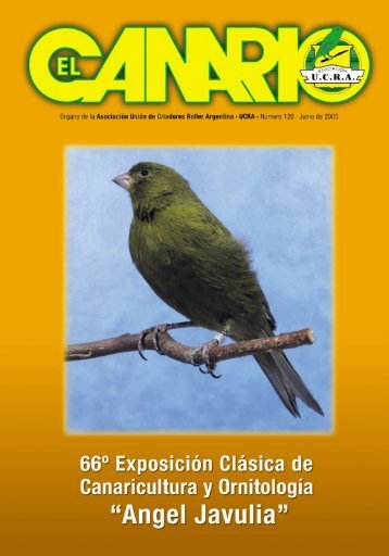 el canario 2005 - Aves Magacin