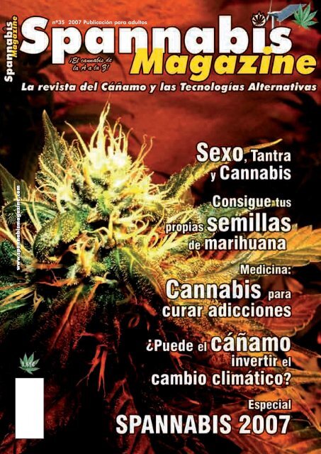 La ciencia detrás de la selección de semillas de cannabis – LaFlecha