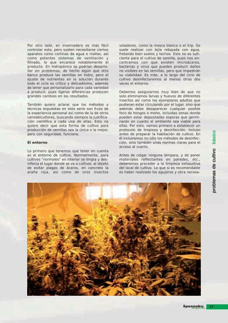 EL RINCÓN de - Cannabis Magazine