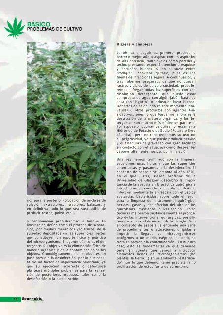 EL RINCÓN de - Cannabis Magazine