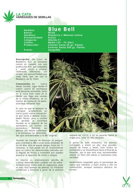 EL RINCÓN de - Cannabis Magazine