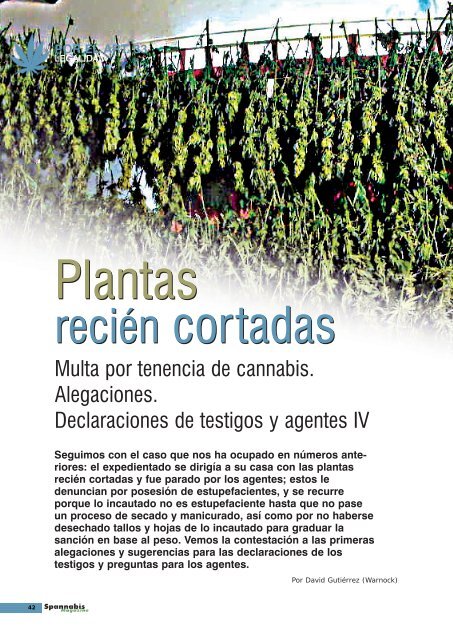 EL RINCÓN de - Cannabis Magazine