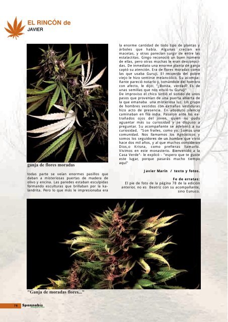 EL RINCÓN de - Cannabis Magazine