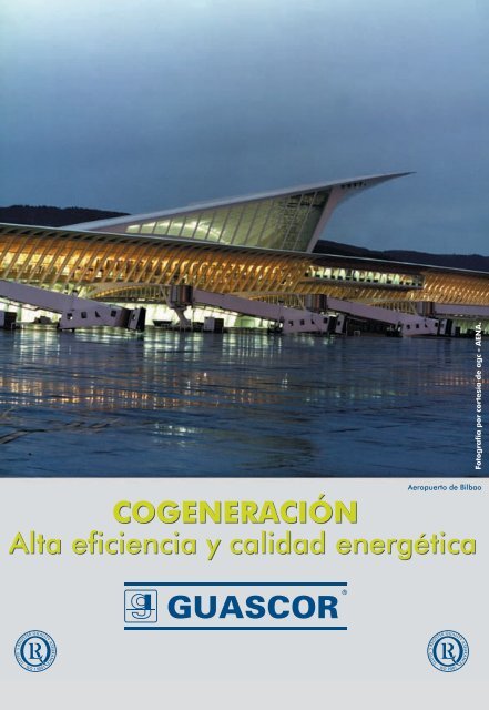 COGENERACIÓN Alta eficiencia y calidad ... - Guascor Power