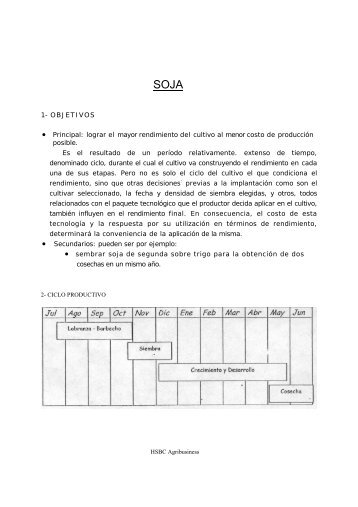 1- OBJETIVOS • Principal: lograr el mayor rendimiento del cultivo al ...