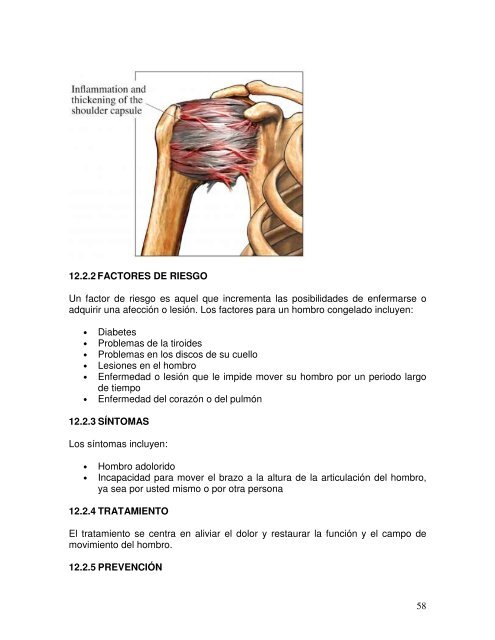 La articulación escapulohumeral en relación con la brazada de libre ...