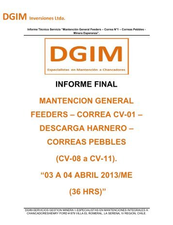 Informe Técnico Servicio “Mantención General Feeders ... - DGIM