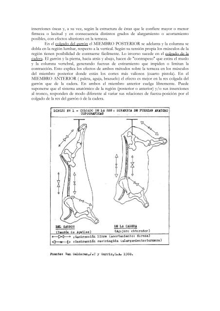COLGADO DE LA RES Y TERNEZA DE LA CARNE - IPCVA