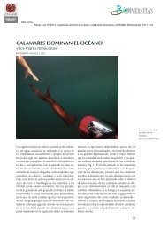 View PDF - calocean - Consejo Superior de Investigaciones ...