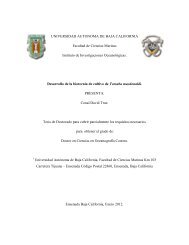 Desarrollo de la biotecnia de cultivo de Totoaba.pdf - Facultad de ...