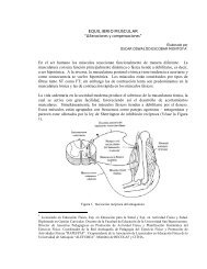 EQUILIBRIO MUSCULAR “Alteraciones y compensaciones” En el ...