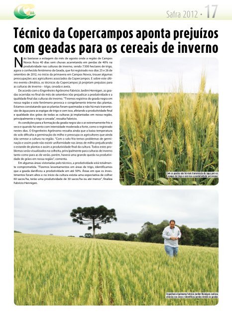 Geadas causam perdas nas culturas de inverno - Copercampos