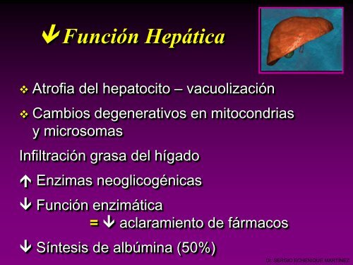 nutricion enteral en el paciente critico