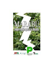 ¿Qué es el marabú? - Biblioteca ihatuey