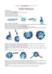 Anillo Proboscis - Abalorios.es