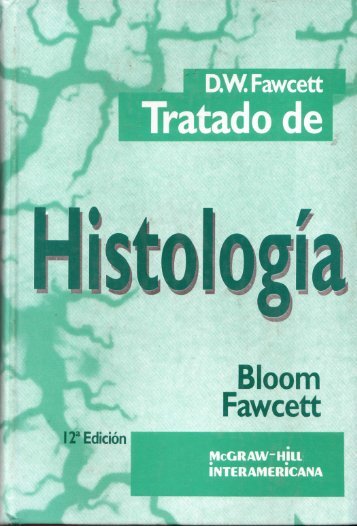 Bloorn Fawcett - proyectobb2