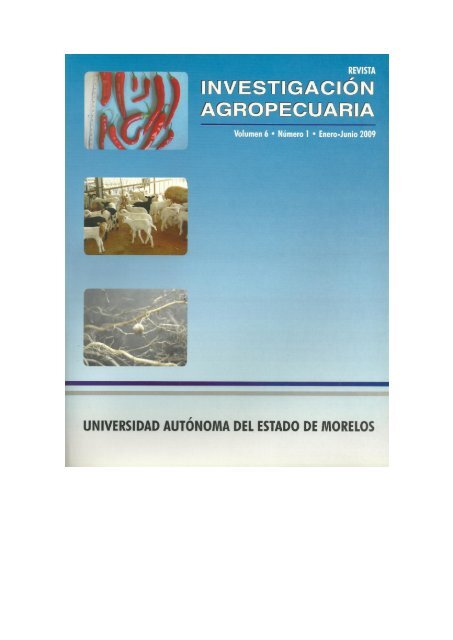 Descargar - UAEM - Universidad Autónoma del Estado de Morelos