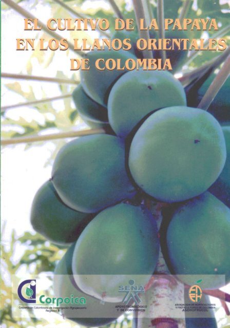 Manejo del cultivo de la papaya en los llanos orientales - Agronet
