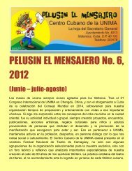 PELUSIN EL MENSAJERO No. 6, 2012
