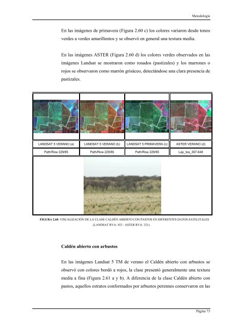 Manual de Teledetección - Secretaría de Ambiente y Desarrollo ...