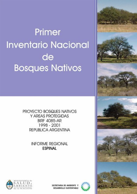 Primer inventario nacional de bosques nativos informe regional