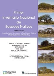 Inventario Forestal del Espinal - Dirección de Recursos Naturales