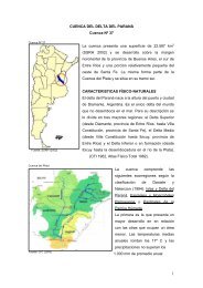 37 delta del parana - Subsecretaría de Recursos Hídricos