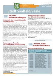 Amtsblatt Nummer 2010/14 - Saalfeld