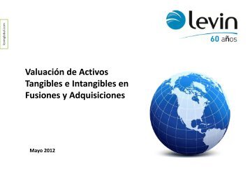 Valuación de Activos Tangibles e Intangibles en ... - Levin Global