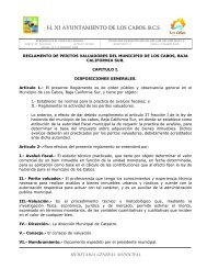 Reglamento de peritos valuadores del municipio de los cabos