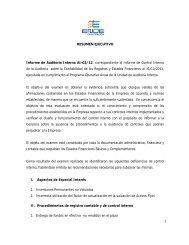 RESUMEN EJECUTIVO Informe de Auditoría Interna AI-02 ... - ENDE