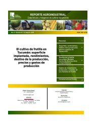 El cultivo de frutilla en Tucumán: superficie implantada ...