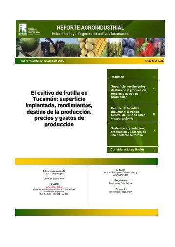 El cultivo de frutilla en Tucumán: superficie implantada ...