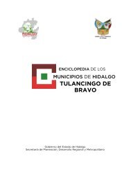 TULANCINGO DE BRAVO - Portal Tributario Estatal