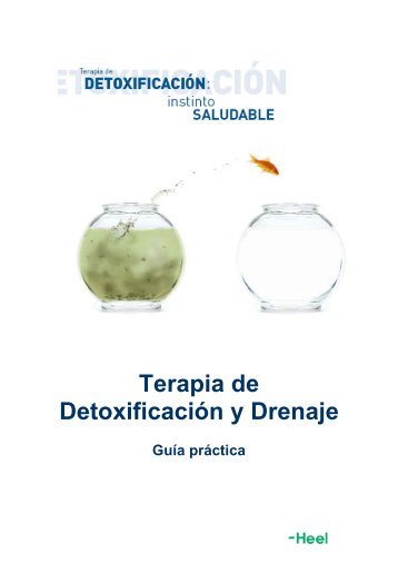 Terapia de Detoxificación y Drenaje - Heel