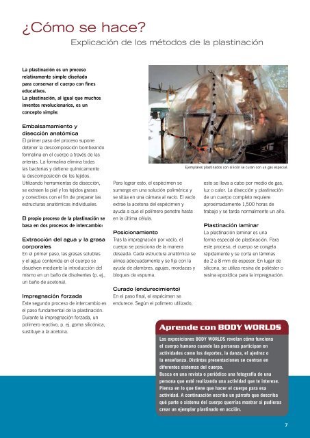 Descarga la guÃa del estudiante (PDF 3.6 MB) - Universum - UNAM